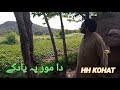 Pashto new poetry 2021ghazal da mor pa yad k  hh kohat