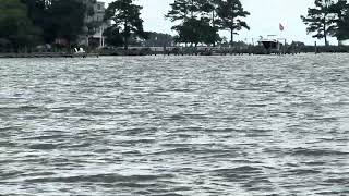 Unexpected Dolphin Encounter While Heading to the Jobsite! 🐬 | Bay Rivers Marine Construction 