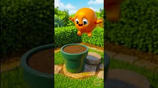 Learning Videos For Toddlers How Plants Grow