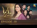 Dil ruba  episode 01    hania amir  syed jibran   hum tv drama