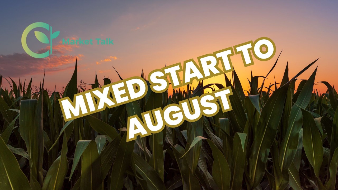 August Starts With Mixed Grain and Livestock Markets