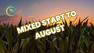 August Starts With Mixed Grain and Livestock Markets