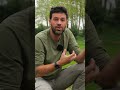Come scegliere le piante per l'orto