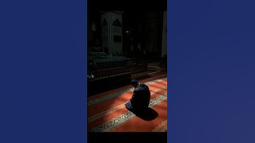 يا ايها الناس اذكروا نعمة الله عليكم #سورة_فاطر