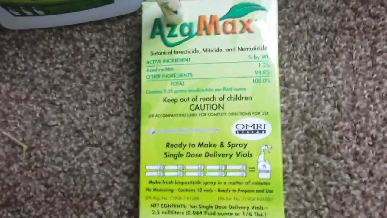 Bug prevention with Azamax.
