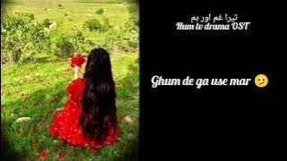 Tera ghum or hum OST | complete OST without dialogues | Naveed Nashad| Hum tv drama
