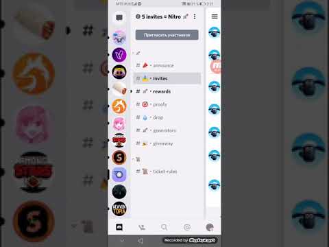 Бесплатный Discord nitro