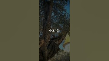 سورة الإسراء: القارئ اسلام صبحي