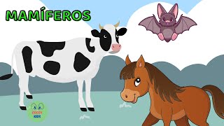 Animais Mamíferos Para Crianças - Curiosidades - Animais Vertebrados
