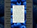 РЎРїР СЃРёР Рѕ Р Р рџ Ќ Рё РїРѕРґРїРёСЃРєСѓ в ҐпёЏ РЎРїР СЃРёР Рѕ Р Р рџ Ќ Рё РїРѕРґРїРёСЃРєСѓ в ҐпёЏ