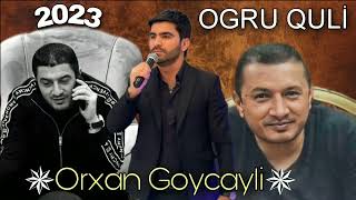 Orxan Goycayli - Ogru Quli 2023 Resimi