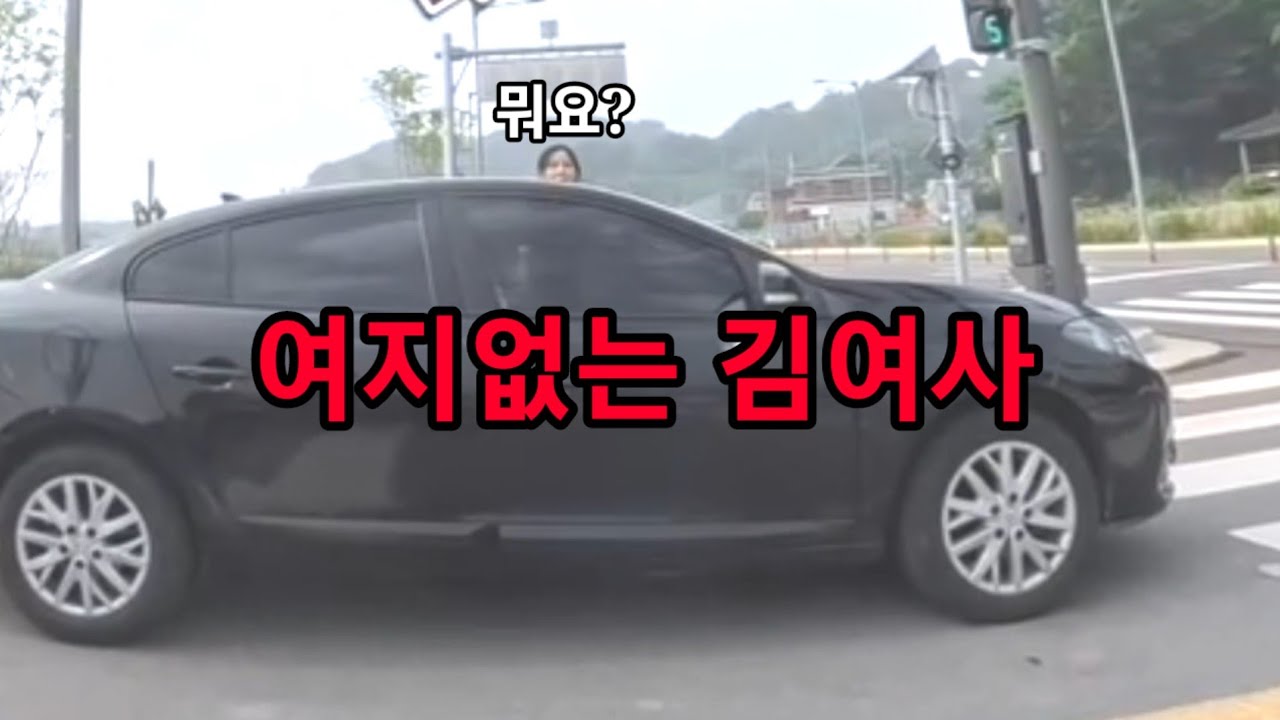 도참시 블랙박스 :대환장 아스팔트......2025 최신블박영상