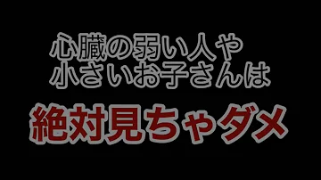 グロ注意 生きたまま 閲覧注意 