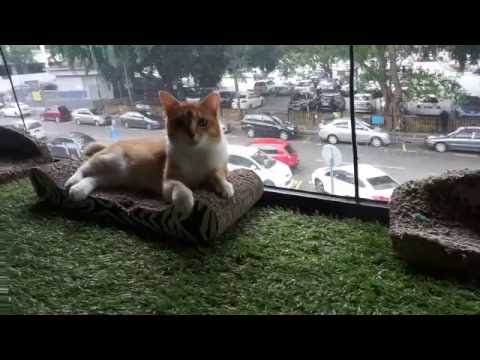 3 Days In Kuala Lumpur Malaysia Travel Blog And World