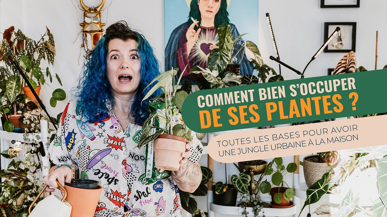 🪴 Comment bien s'occuper de ses plantes ? Guide complet du jardinier débutant ! 👩‍🌾