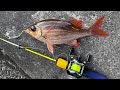 世界遺産で本気の穴釣り。Fishing at a World Heritage Site. 세계유산으로 낚시.在世界遗产地钓鱼