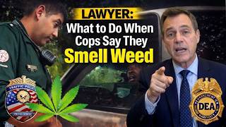 Cop Says He Smells Weed 5 Legal Moves That Protect Your Rights During a Traffic Stop