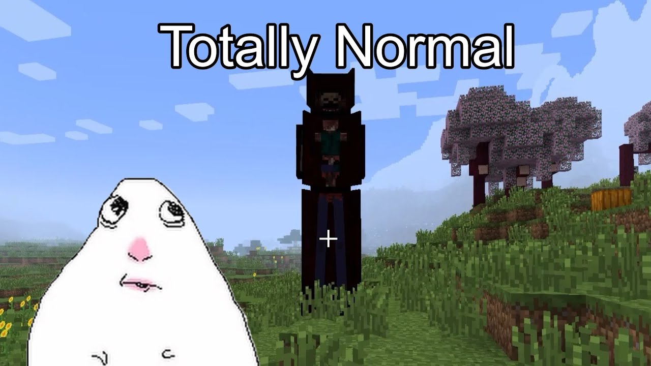 A Totally Normal Minecraft Video.