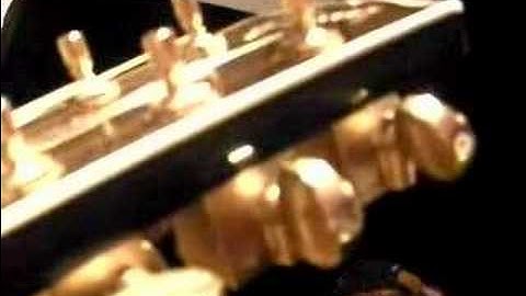 CES 2008 - Guitar Robot