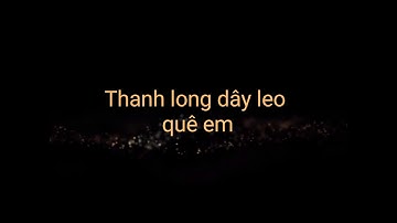 Thanh long giàn leo Gò Công Tây