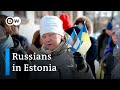 What do Russians in Estonia think about Putin