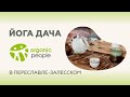 Йога дача с Organic People в Переславле-Залесском