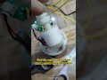 pasang sensor water level untuk on/off dispenser galon #Auto #aquarium #shortvideo #viral #modified
