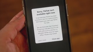 Famous TikTok influencers react to its return and uncertain future