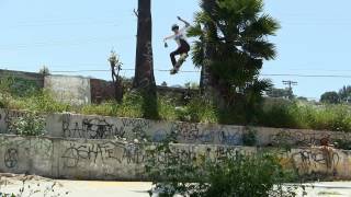 Matthew Wrightsman Palm Tree Gap Ollie