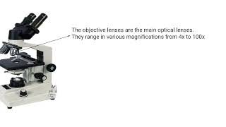 parts of microscope .... made easy...
