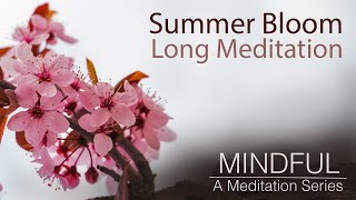 This 11 Minute Guided Meditation is ALL You'll Need for a Mid Year Reset Wealth
