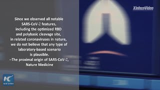 Novel coronavirus not engineered in lab: reports