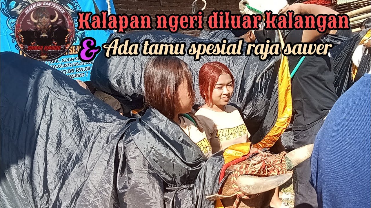 Raja sawer datang Kalapan Simbar mayuro semakin beringas, live baran sonosari. 