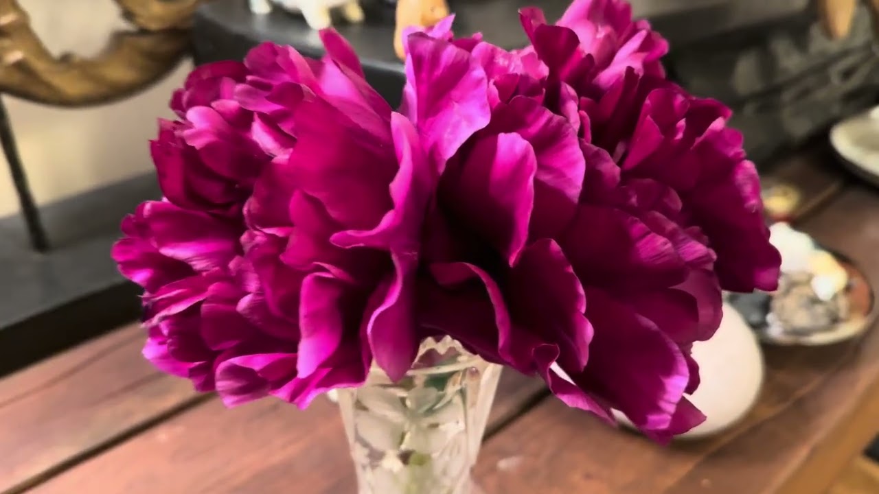 Peonies Are Sprouting in Canada | Farm Life After Long Winter#Peony#CanadianFarm	#Winter#FarmLife#牡丹