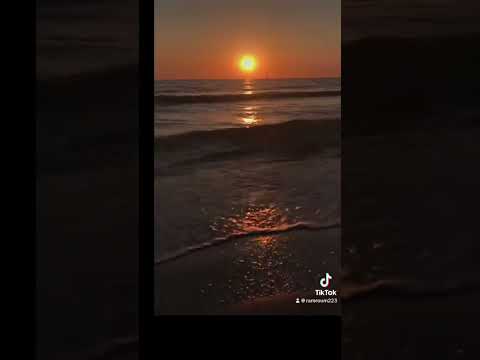 انساني وسيبني انسى تعبت كتير معاك هاني شاكر اديني قلب تاني حالات واتساب اغاني اكسبلور 