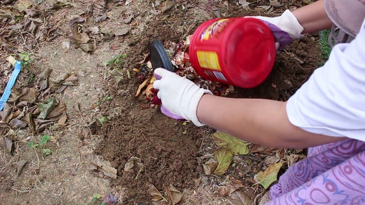 Kitchen Scraps Composting Directly in Cut Flower Beds! Year Round Cut flowers Ep 17 YouTube