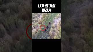 니가 왜 거기서 나와?🔥...