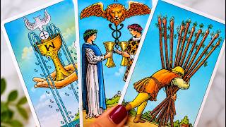 CAPRICORN THIS IS COMPLETELY UNEXPECTED...😍❤️‍🔥WEEKLY BONUS TAROT AUGUST 2026