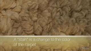 Why Clean and Maintain   Spots and Stains