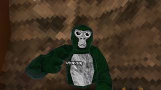 Introduction to gorilla tag