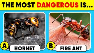 How Good Is Your Knowledge of ANIMALS? 🐝🐜✅ General Knowledge Trivia Quiz