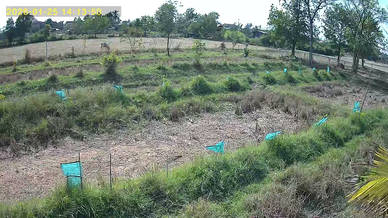 UBox 2026 01 25 141228 3 137