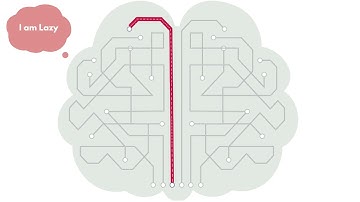 Neuroplasticity and the power of your thoughts