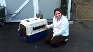 Funny Animal Sounds Lol