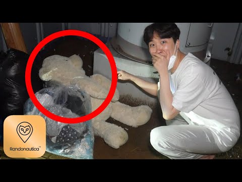란더노티카 어플 때문에 죽을뻔한 썰 푼다..이 곰인형은 뭐냐..?😱