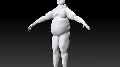 ZSphere Human Practice