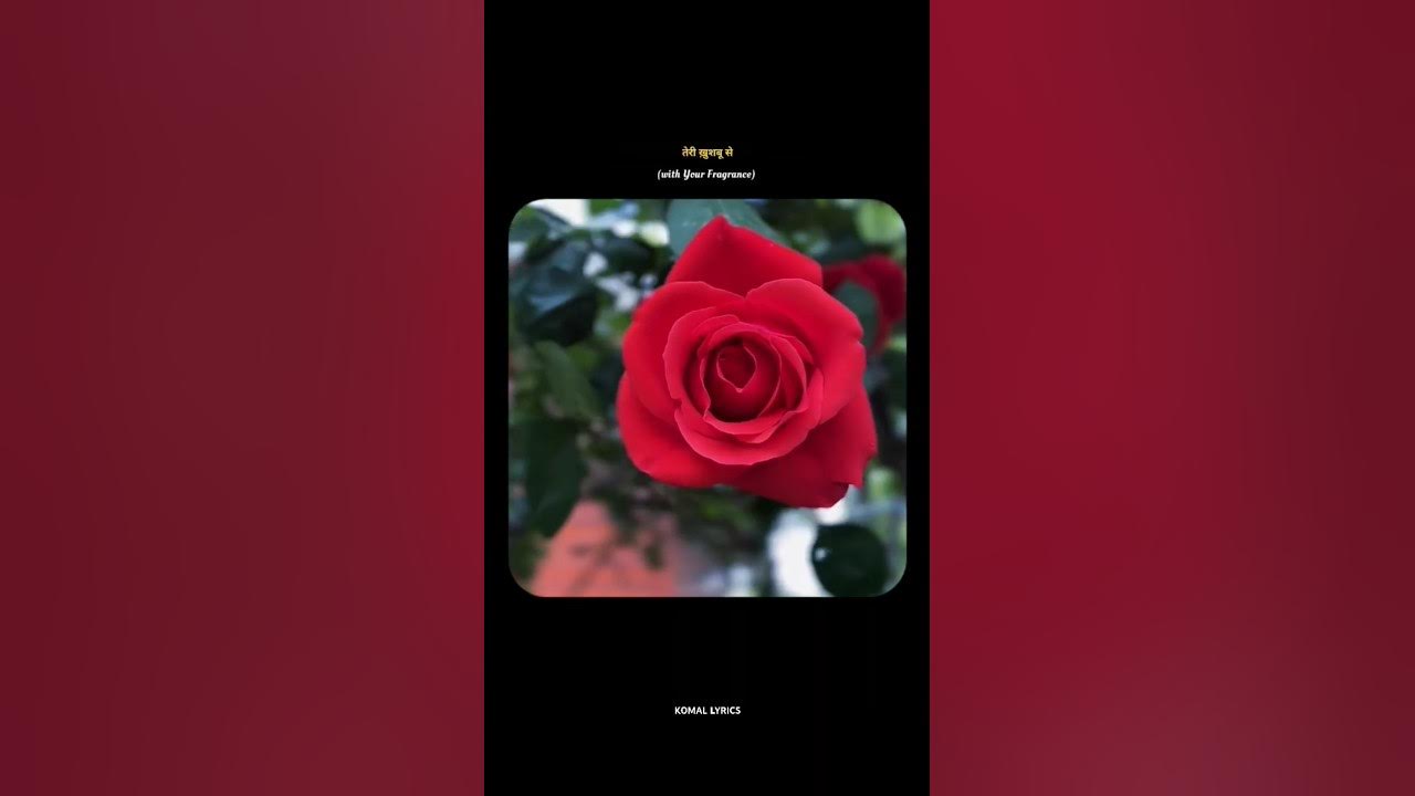 Tere Aane Ki Jab Khabar Mehke β€πΌ||Jagjit Singh Gazal||Whatsup Status||#love #song #gazal #shorts Tere Aane Ki Jab Khabar Mehke β€πΌ||Jagjit Singh Gazal||Whatsup Status||#love #song #gazal #shorts