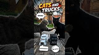 CATS AND TRUCKS 🚛😼