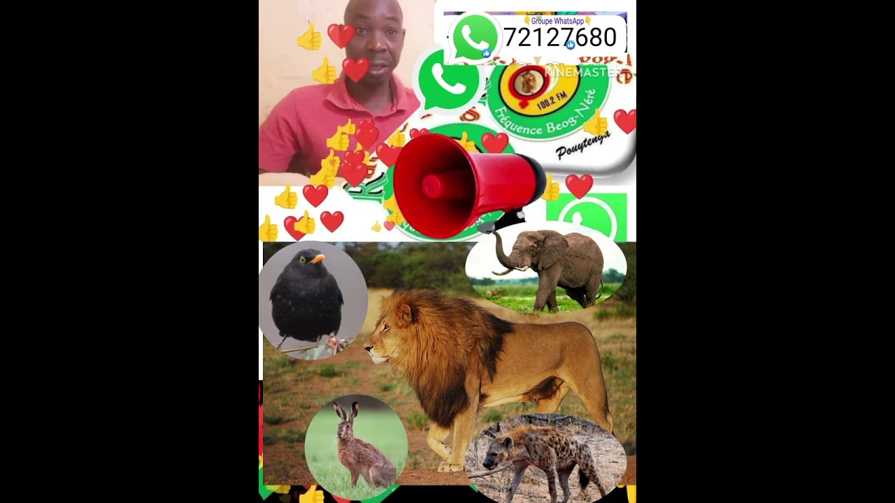 douni Viim kibaare (les conte en mooré) 1ère partie🇧🇫🧏