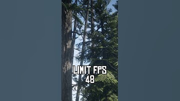 This trick helps me to Reduced Ghosting and Flickering issue lsfg 3.1 in Red Dead 2 at 1080p